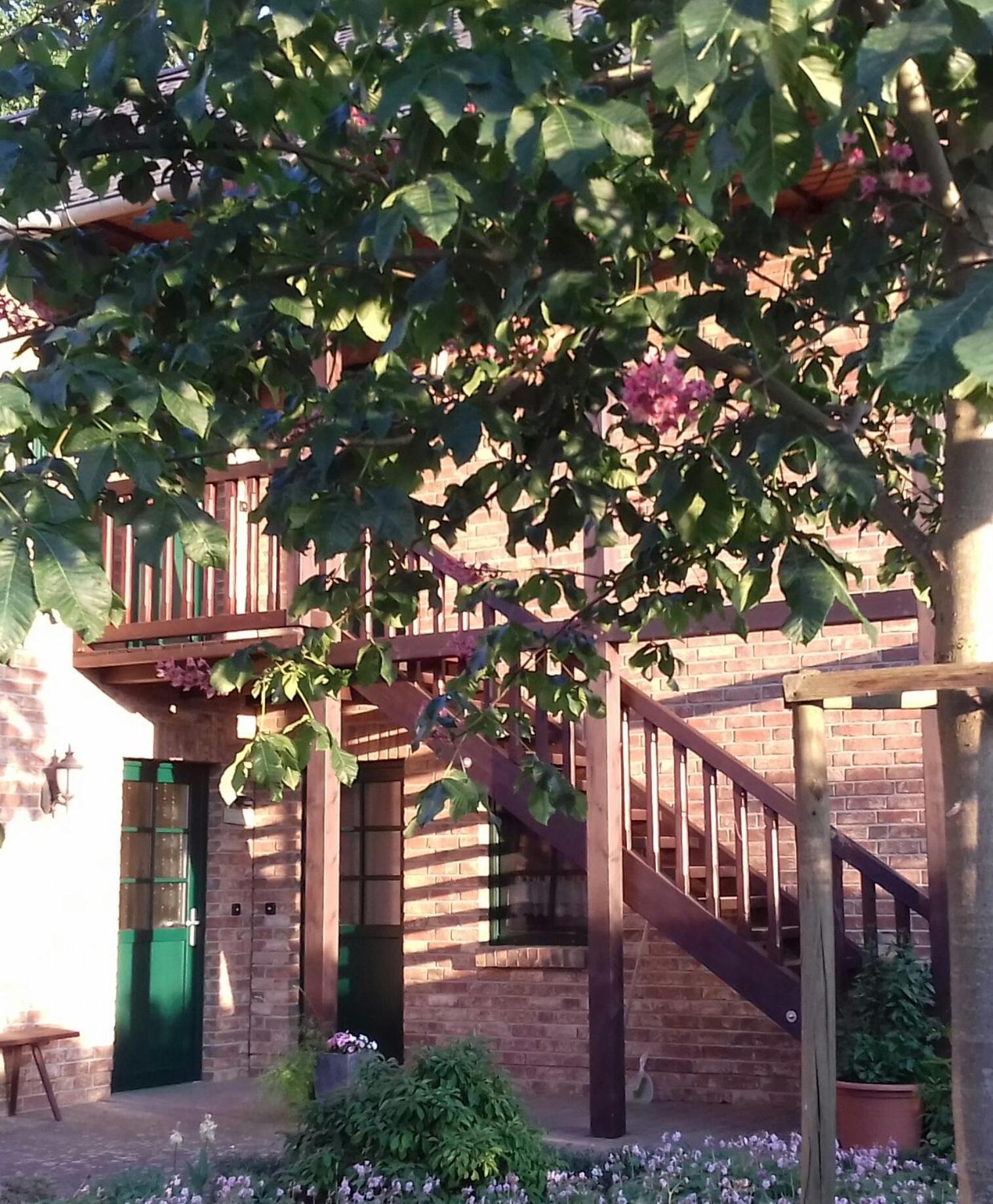 Kastanienhof Apartamento Burg  Exterior foto